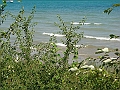 Western Michigan [2010] 575